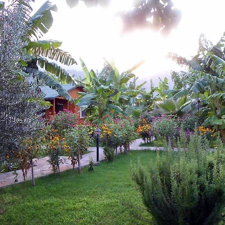 Estelar Bungalow Çıralı Extérieur photo