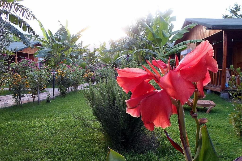 Estelar Bungalow Çıralı Extérieur photo