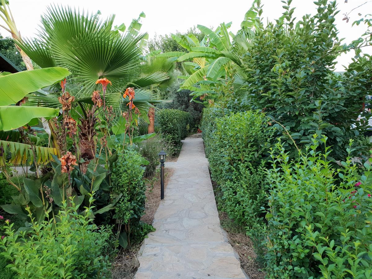 Estelar Bungalow Çıralı Extérieur photo