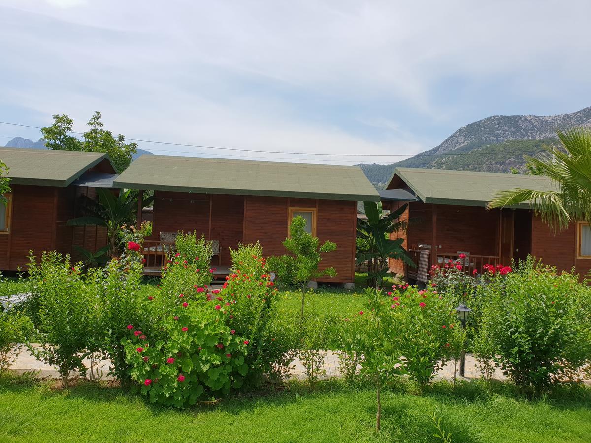 Estelar Bungalow Çıralı Extérieur photo